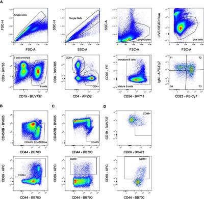 Enhanced alloresponse to platelet transfusion due to immune dysregulation following ablative chemotherapy in mice